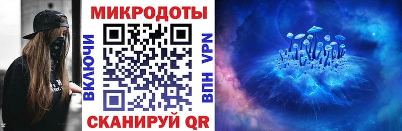 Псилоцибиновые грибы Psilocybe  Юрьевец 